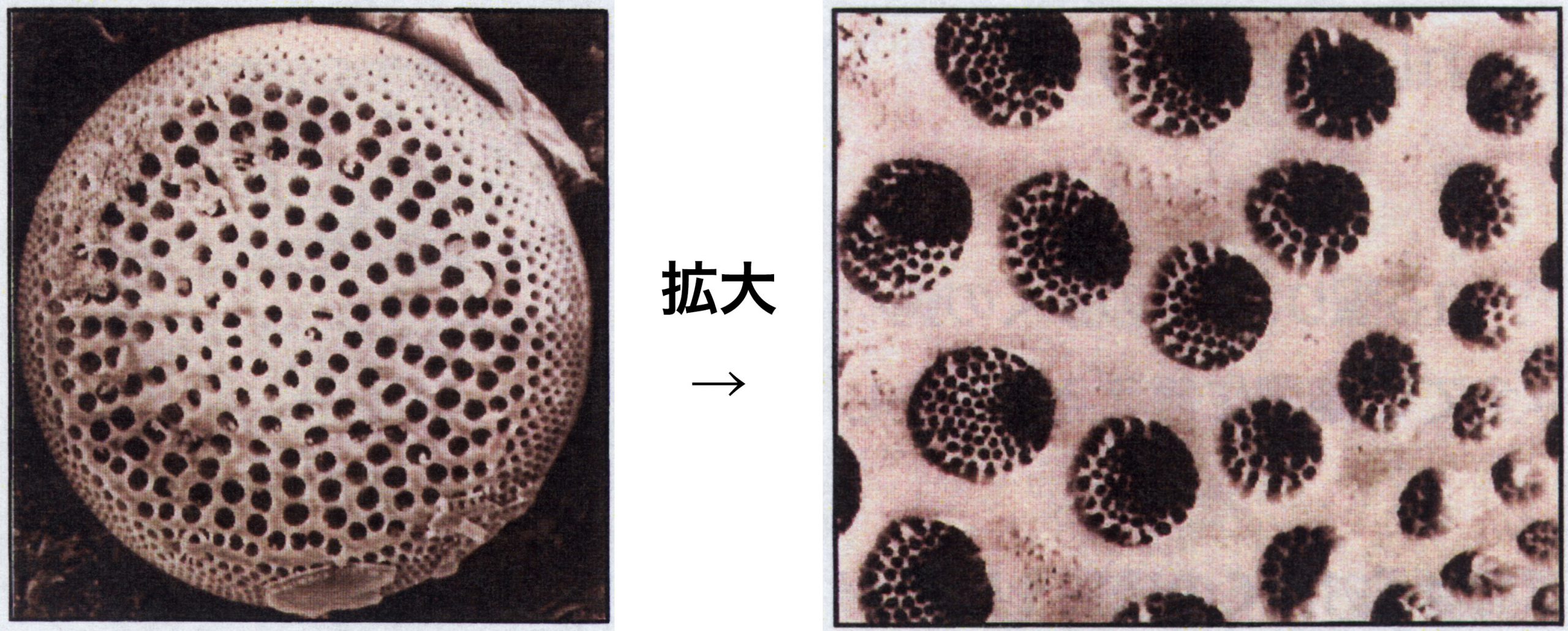 路面温度上昇抑制の原理